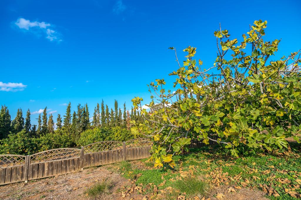 Legrena Beach Villa سونيو المظهر الخارجي الصورة