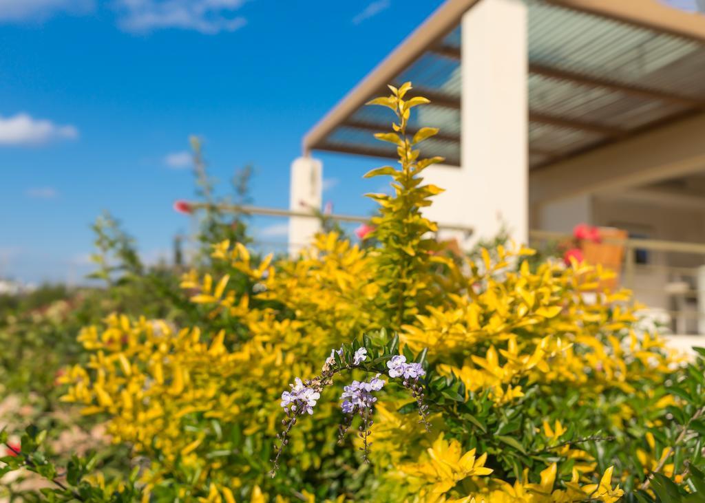 Legrena Beach Villa سونيو المظهر الخارجي الصورة